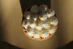 Fondant - Tarte Meringue Citronnée